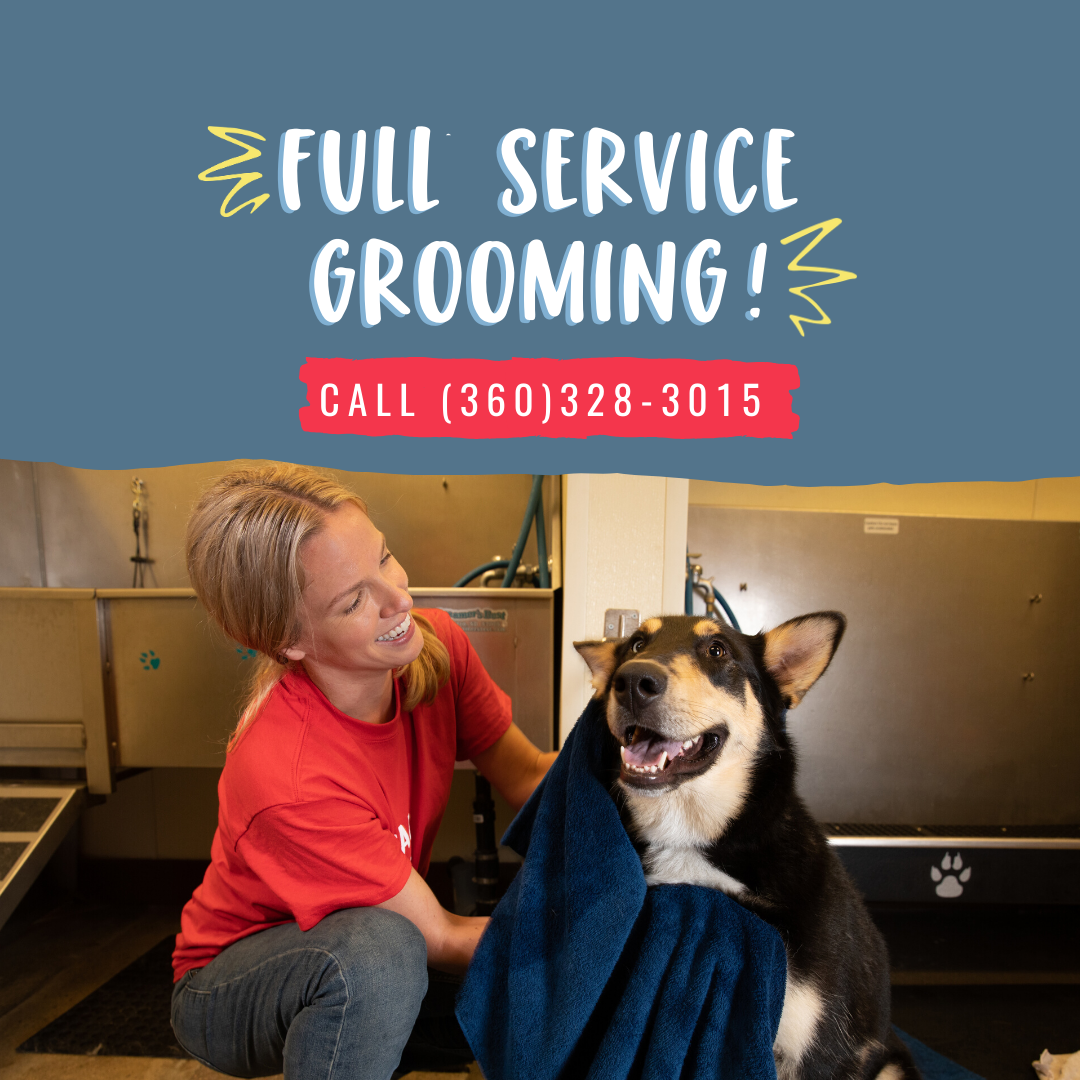 Dog Grooming Camp Bowie